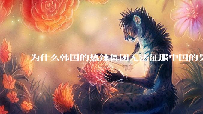 为什么韩国的热辣舞团无法征服中国的男性市场？？