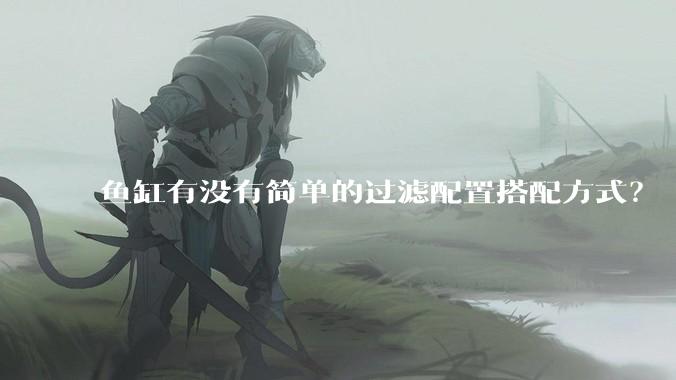 鱼缸有没有简单的过滤配置搭配方式？